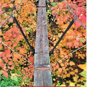 Meet your Posher, Craig